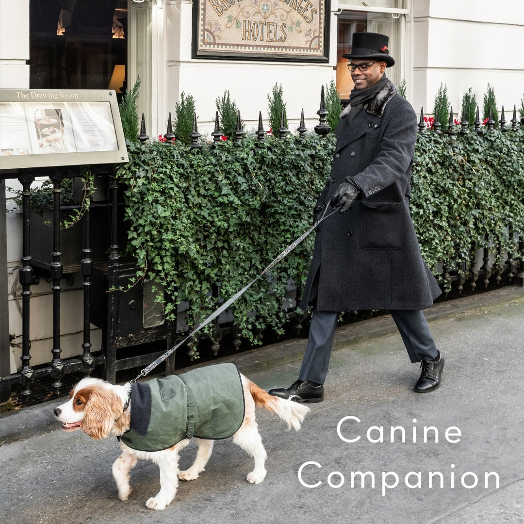 Canine Companion Waxed Cotton Dog Coat Small