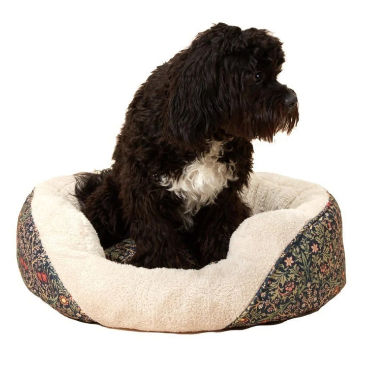 Canine Companion Cosy Pet Bed