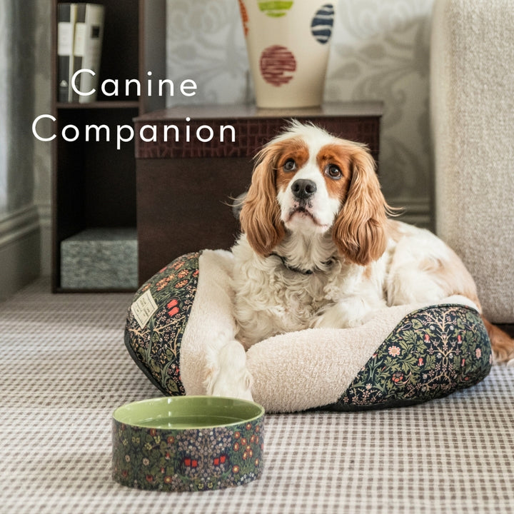 Canine Companion Cosy Pet Bed