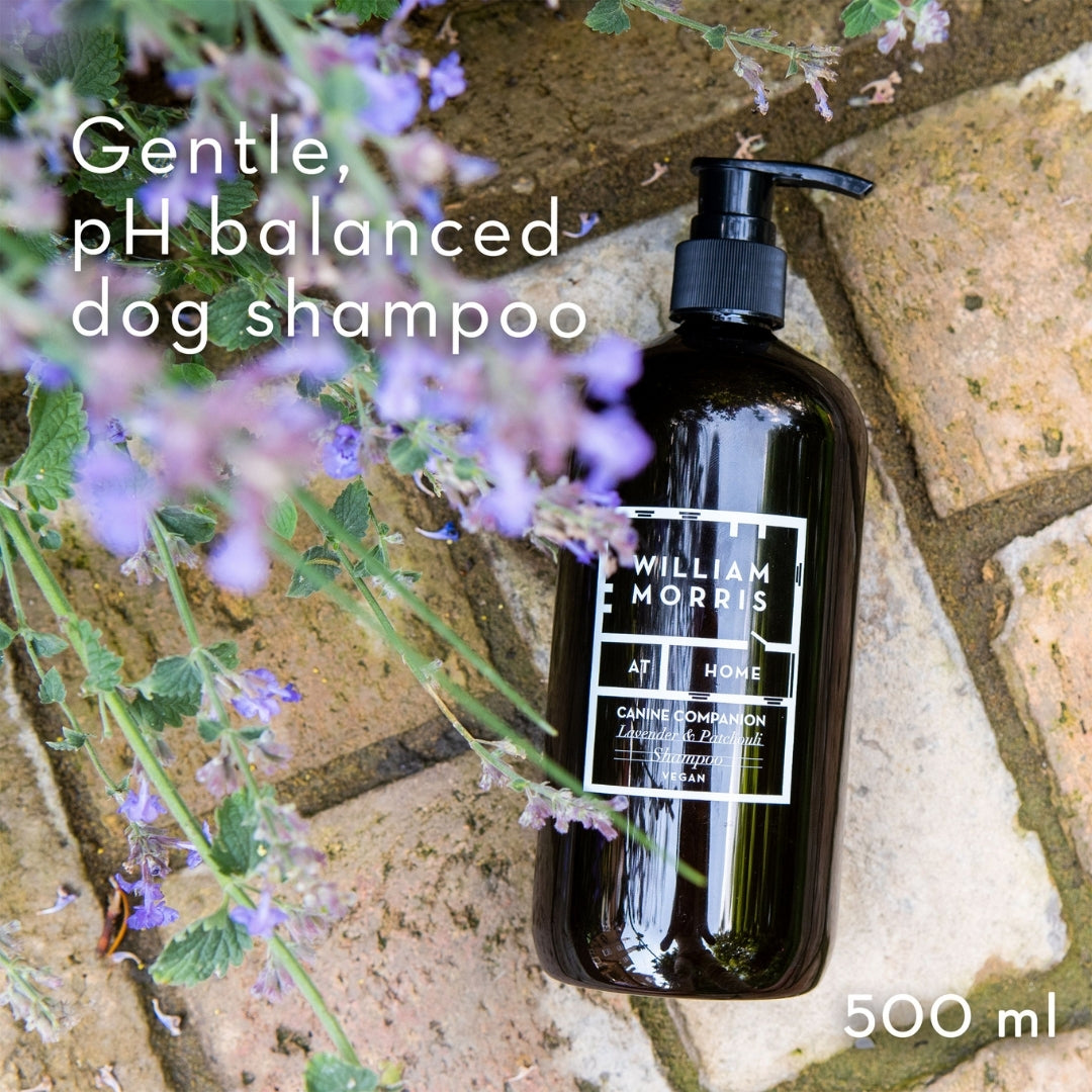 Canine Companion Dog Shampoo